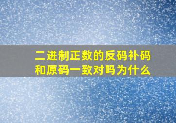 二进制正数的反码补码和原码一致对吗为什么