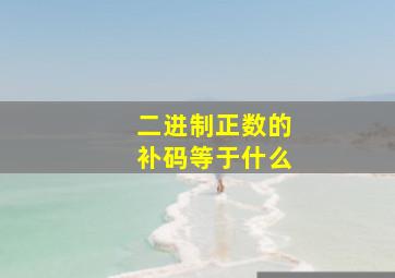 二进制正数的补码等于什么