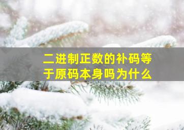 二进制正数的补码等于原码本身吗为什么