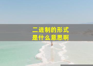 二进制的形式是什么意思啊