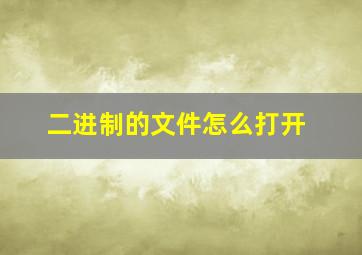 二进制的文件怎么打开