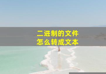 二进制的文件怎么转成文本