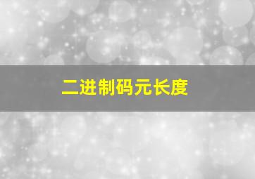 二进制码元长度