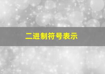 二进制符号表示