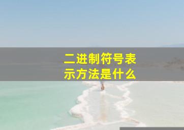 二进制符号表示方法是什么