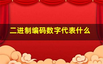 二进制编码数字代表什么