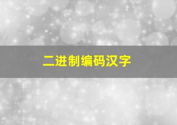 二进制编码汉字