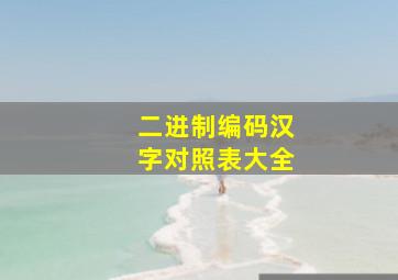 二进制编码汉字对照表大全