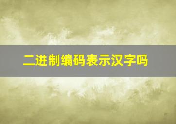 二进制编码表示汉字吗