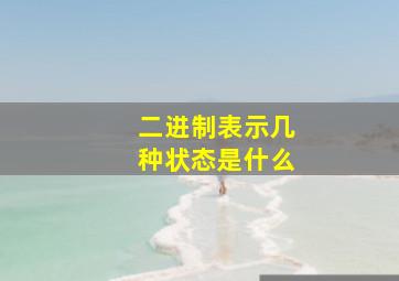 二进制表示几种状态是什么