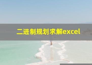 二进制规划求解excel