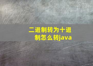 二进制转为十进制怎么转java