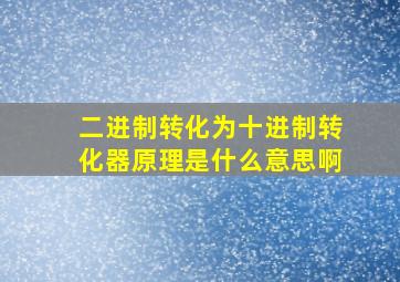 二进制转化为十进制转化器原理是什么意思啊