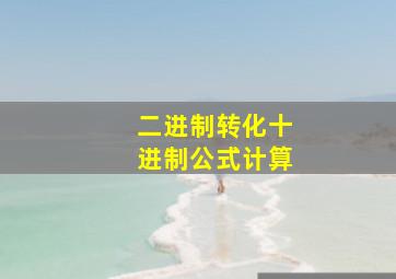 二进制转化十进制公式计算