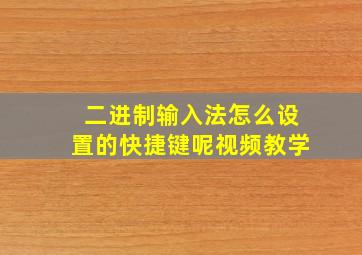 二进制输入法怎么设置的快捷键呢视频教学