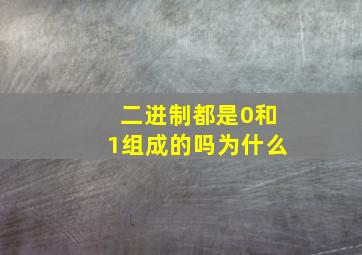 二进制都是0和1组成的吗为什么