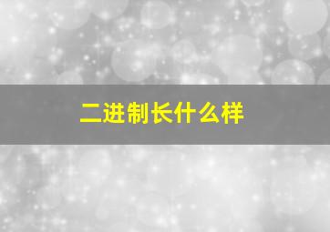 二进制长什么样