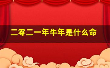 二零二一年牛年是什么命