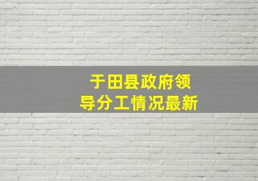 于田县政府领导分工情况最新