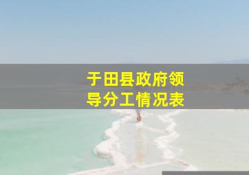 于田县政府领导分工情况表