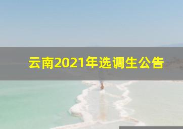 云南2021年选调生公告