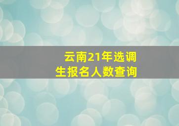 云南21年选调生报名人数查询