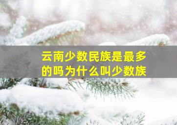 云南少数民族是最多的吗为什么叫少数族