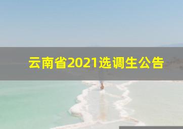 云南省2021选调生公告