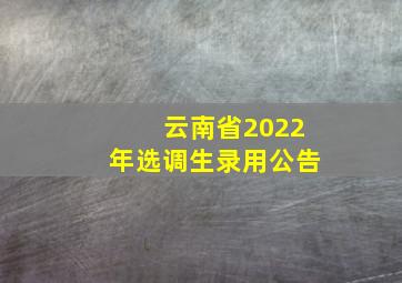 云南省2022年选调生录用公告