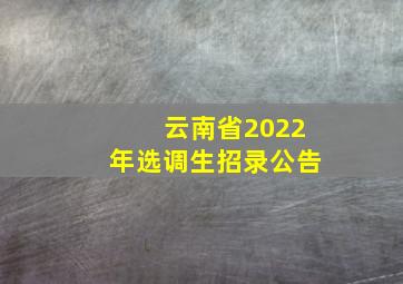 云南省2022年选调生招录公告