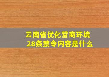 云南省优化营商环境28条禁令内容是什么