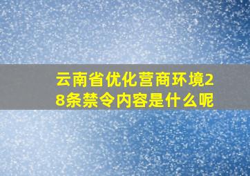 云南省优化营商环境28条禁令内容是什么呢