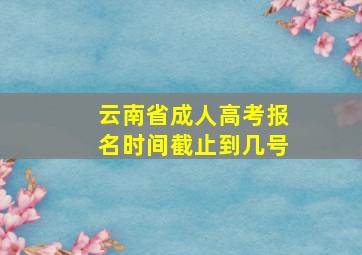 云南省成人高考报名时间截止到几号