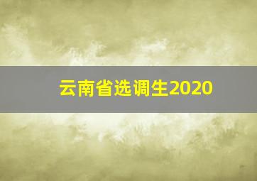 云南省选调生2020