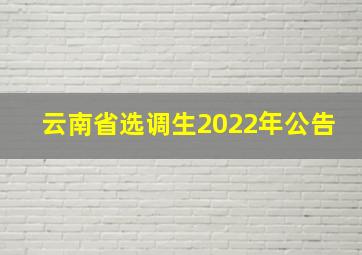 云南省选调生2022年公告