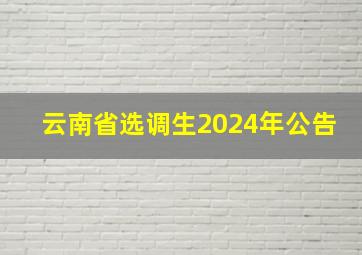 云南省选调生2024年公告