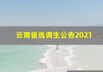 云南省选调生公告2021