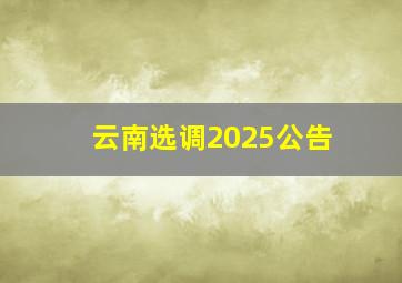 云南选调2025公告