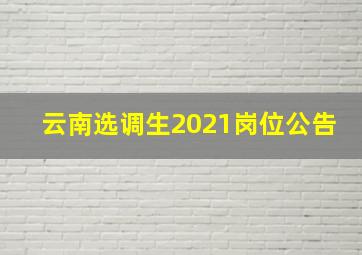 云南选调生2021岗位公告