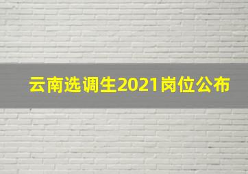 云南选调生2021岗位公布