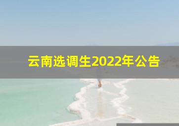 云南选调生2022年公告