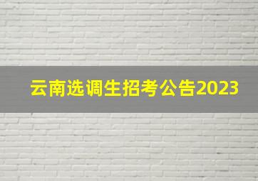 云南选调生招考公告2023