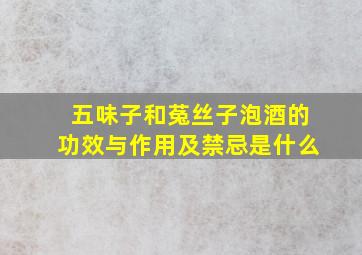 五味子和菟丝子泡酒的功效与作用及禁忌是什么