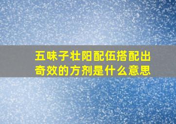 五味子壮阳配伍搭配出奇效的方剂是什么意思