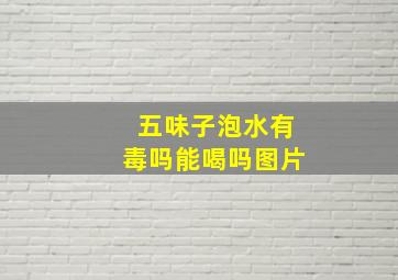 五味子泡水有毒吗能喝吗图片