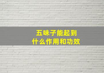 五味子能起到什么作用和功效