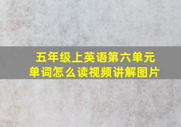 五年级上英语第六单元单词怎么读视频讲解图片