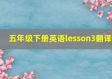 五年级下册英语lesson3翻译