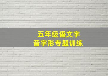 五年级语文字音字形专题训练