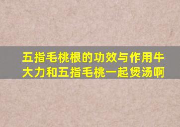 五指毛桃根的功效与作用牛大力和五指毛桃一起煲汤啊